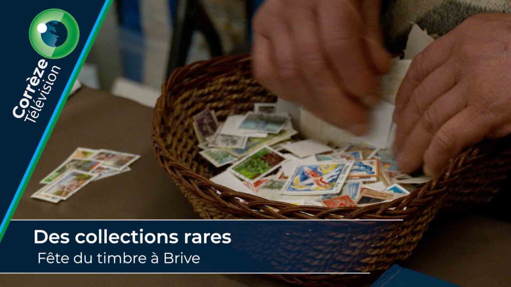 Des collections rares